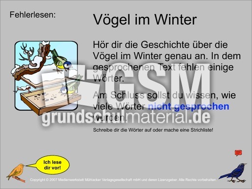 Fehlerlesen-Vögel-im-Winter-Übung.pdf